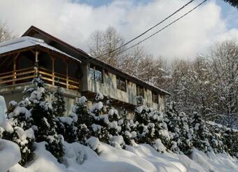 Cabana Valea Bradului