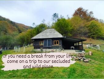 Cozy Hut Retreat In The Wild Nature Of Romania