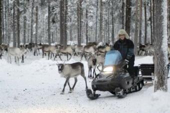 Villa Spacious House Beside A Lake In Swedish Lapland