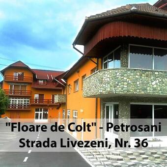Hostal Floare De Colt Petrosani