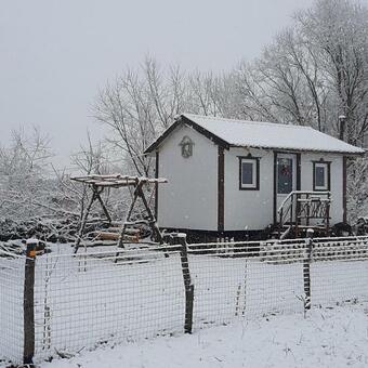 C?su?a Sara- The Story Of Nature