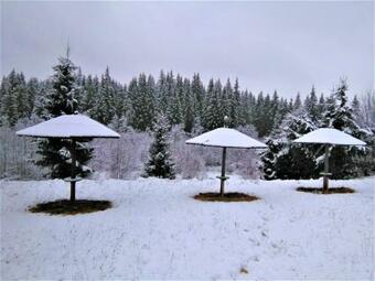 Apartamento Casa Paltin Cabane