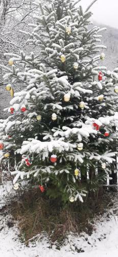 Casa Speran?a Din Poieni