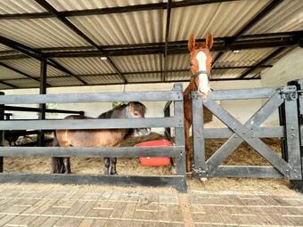 Casa Con Caballos, Naturaleza Y Vista Panor�mica