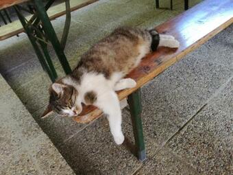 Apartamento Fuchsbauernhof