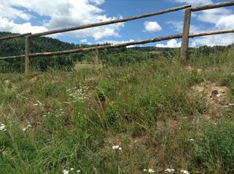 Apartamento Weststeirische Ferienwohnung Piber