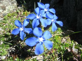 Agroturismo Ferienwohnung Angstingerhof