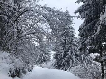 Apartamento Landhaus Sch�nblick