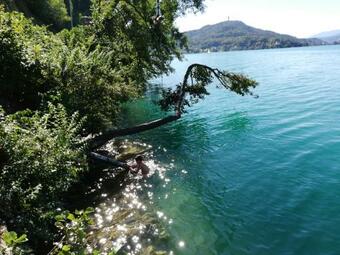 Apartamento Haus Wolfgang