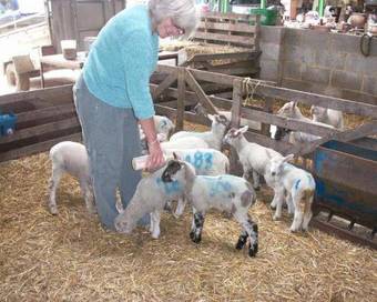 Agroturismo Lakeside Town Farm