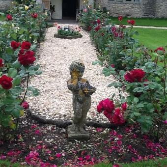 Agroturismo The Manor Farm Alderton