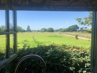 Little Plovers Shepherd Hut