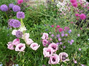 Hall Farm Bed & Breakfast