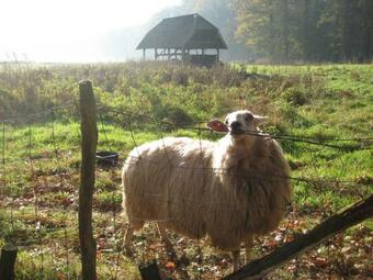 Hostal The Farmer's Daughter