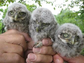 Apartamento Beeldend Buiten