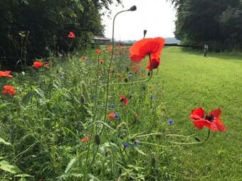 Kom In De Bedstee Magie!