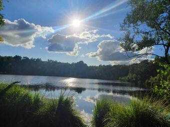 Bed & Breakfast Overnachting Suuthwalda