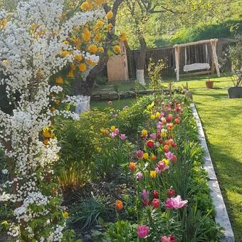 Hostal Villa Rihuini Authentic Saxon House