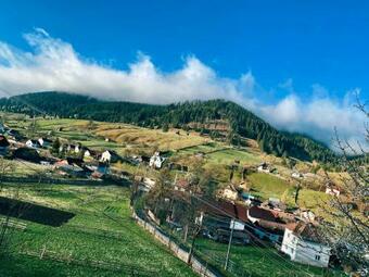 Hostal Pensiunea Casa Severin