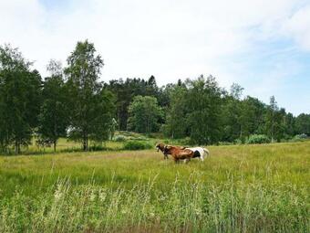 Holiday Home Romelanda