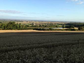 Bed & Breakfast The Old Nurseries B & B