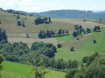 Agroturismo Pensiunea Margareta