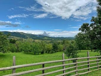 Puzzle House And Nature