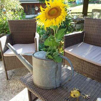 Bed & Breakfast Le Grive