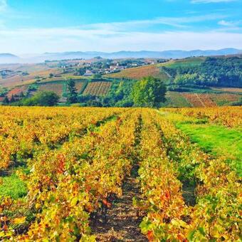 Bed & Breakfast La Suite