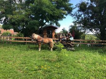 Roul'h�tes �vasion