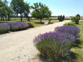 G�te De La Petite Forge