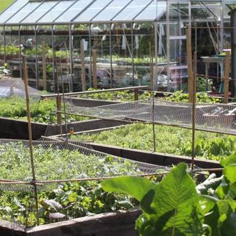 Posada Sibton White Horse Inn