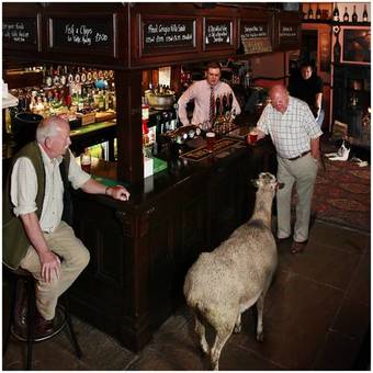 Posada The Old Hall Inn