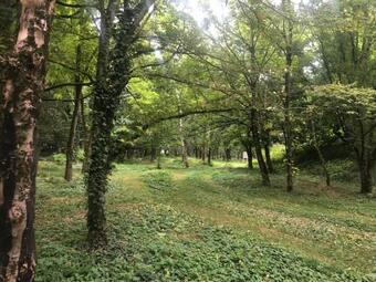 L'eden Valdeloire - G�te Olympe