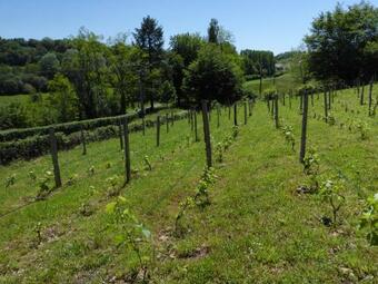 La Petite Bardouill�re