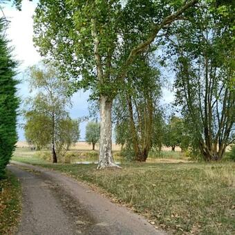 Bed & Breakfast Chez Magali