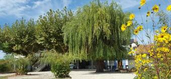 Agroturismo Dreams Of Provence