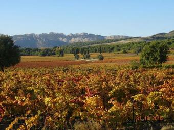 Bed & Breakfast La Maisonnette