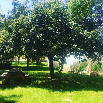 La Favi�re Enchant�e - Le G�te