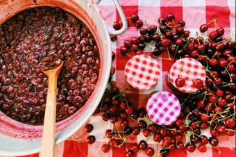 Logement Des Lavandes Animaux Bienvenus