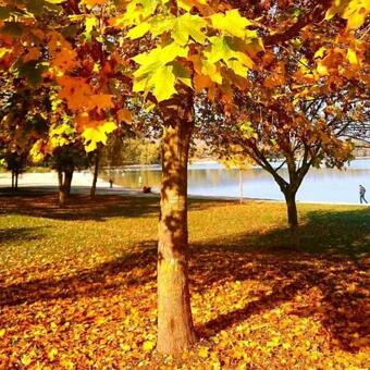 Hostal Maison D'h�tes Chez Aud