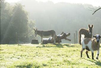 Bed & Breakfast La Cabane De Denier