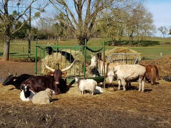 Agroturismo La Ferme Aux Kangourous