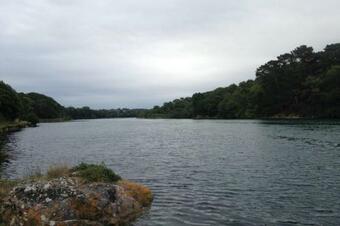 Detached House Near Beaches