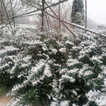 Apartamento La Souris Des Champs