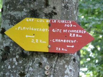 Apartamento Charmant Appartement � 10 Mn De Dijon