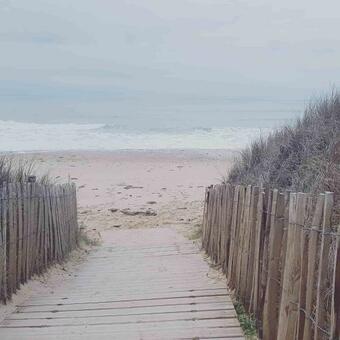 Hostal La Loge Du Grand C�dre, Chambre D'h�tes Socosy