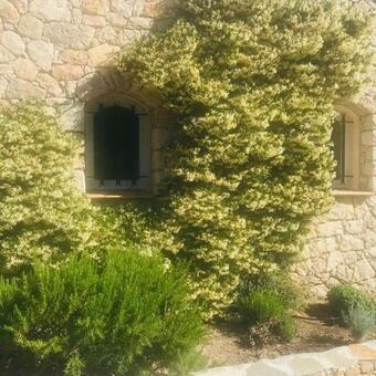 Bed & Breakfast Fanchini's Bergerie