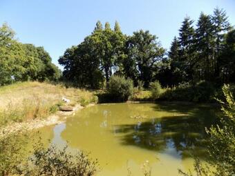 Bed & Breakfast Ianrhu