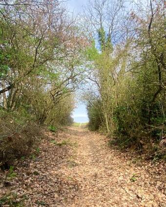 Apartamento Appartement De 2 Chambres Avec Vue Sur La Ville Piscine Partagee Et Jardin Clos A Gaillac